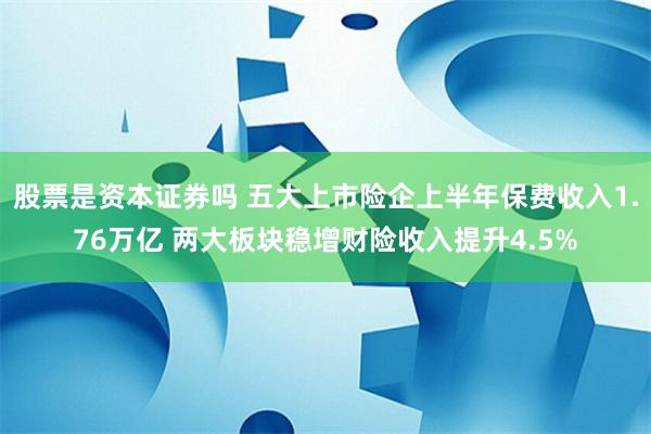 股票是资本证券吗 五大上市险企上半年保费收入1.76万亿 两大板块稳增财险收入提升4.5%