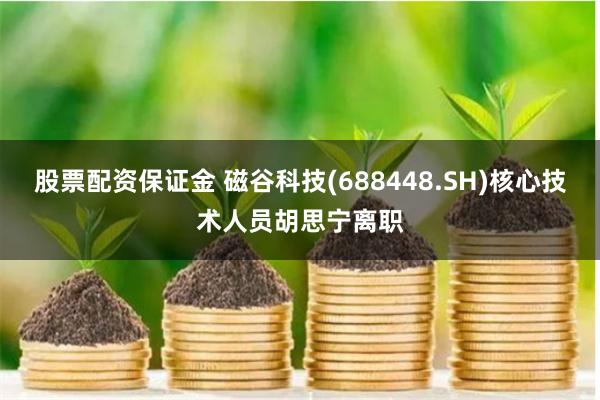 股票配资保证金 磁谷科技(688448.SH)核心技术人员胡思宁离职